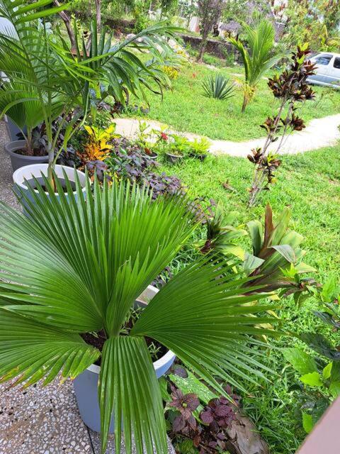 Apartamento Diamond Coast Private House